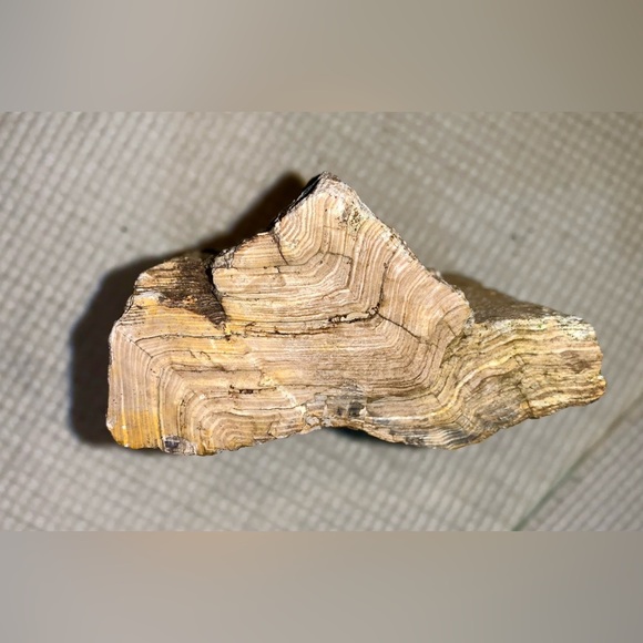 Petrified Wood Chunk almost 2 pounds! - Picture 3 of 8